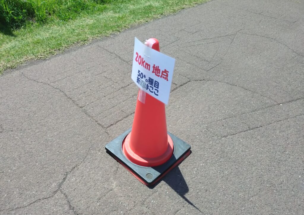多摩川ネイチャーウォーク20km折り返し地点の三角コーンの写真
